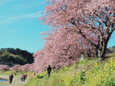 2022 みなみの桜と菜の花まつりへ（その１）