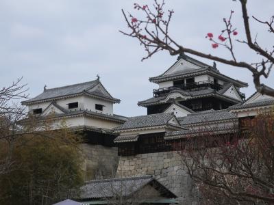 ANAにキュン！で四国～松山～