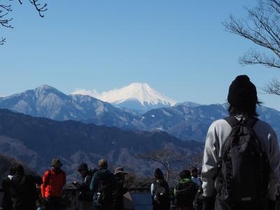 2月の高尾山6号路はカチンコチン。東京で冬山気分と、高橋家で冬蕎麦を味わう。