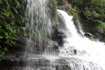 水着持参も暖房ON★マイルで行く2度目の西表島は雨でも登る・走る・牛を見る〈第2日目 奥ゲータの滝〉