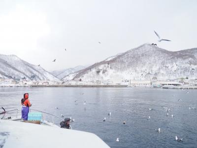 極寒の知床で流氷と天然記念物のオジロワシ・オオワシが見たくて - 真冬のひがし北海道 (1)