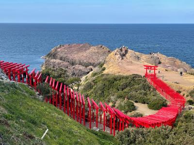 冬旅　山口県の別府弁天池・千畳敷・角島・元乃隅神社と瓦そば