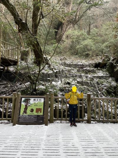 雪景色の縄文杉トレッキング