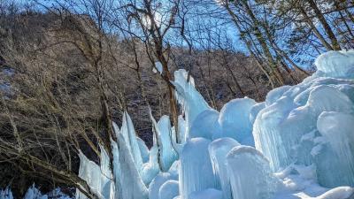 小鹿野歌舞伎とおがニャッピー@埼玉県_47のメイド・イン・ジャパン