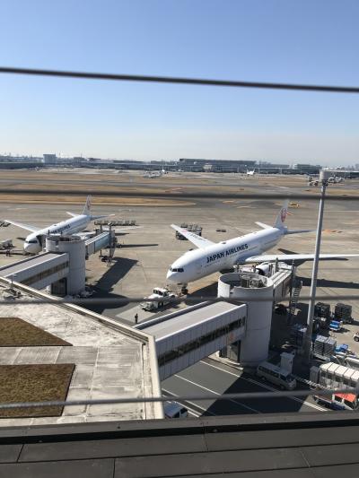 【子連れお出かけ】羽田空港第一ターミナルで遊ぶ