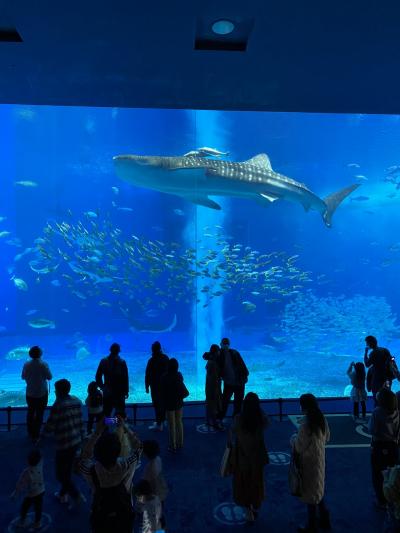 【沖縄旅行】２日目はバスで美ら海水族館とフクギ並木！