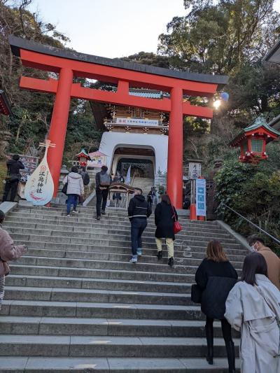 お天気のいい二月末日、思い立って、91歳の母と小田急江ノ島・鎌倉フリーパスを使ってローカル線のプチ遠足