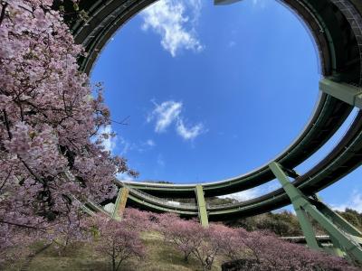 大河ドラマ『鎌倉殿』ゆかりの地を歩くー伊豆修善寺