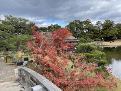 ***秋の彦根＆京都 その②楽々園と玄宮園と彦根城博物館***