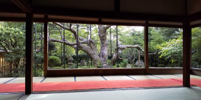 京都大原一日目~宝泉院と音無しの滝