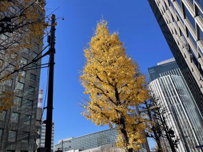 年末年始は東京で、3日目