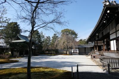 京都　優雅な冬旅♪　Vol.70 ☆高台寺：冬の美しい庭園や寺院♪