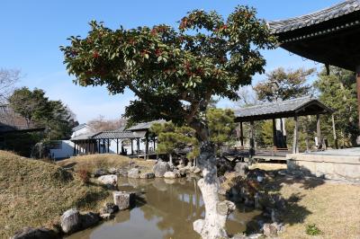 京都　優雅な冬旅♪　Vol.71 ☆高台寺：冬の美しい庭園や寺院♪
