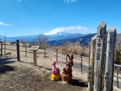大野山ハイキング湯本平コース挑戦