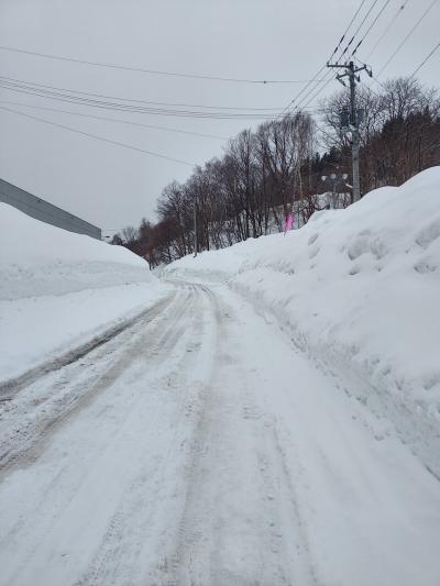 小樽旅行と20年ぶりスキー旅