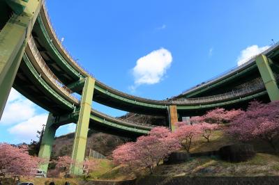 河津七滝ループ橋(静岡県河津町)へ・・・