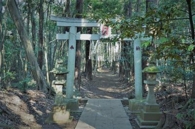 Amazing 房総 Vol.06　行きはよいよい帰りはこわい　千葉県最恐の曰く付き神社「達磨神社」に行ってみた　オッサンネコの一人旅