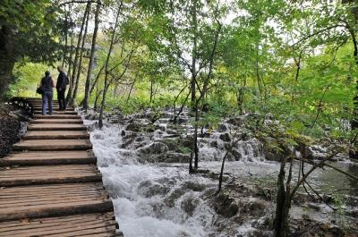 2014年クロアチア・スロヴェニア旅行記　第28回　プリトヴィツェ湖群国立公園散策　その1　遊覧船に乗って上湖群へ