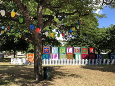 Hawaii15 (Mele Kalikimaka) Part1 初日&2日目