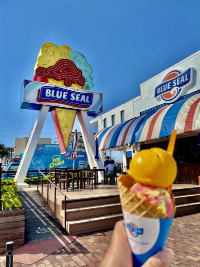 初夏の沖縄で、コーヒーの収穫&焙煎体験~~匸Pヽ(｀▽´*) 