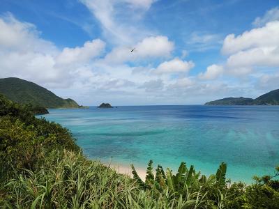 奄美諸島２０２１夏旅行記　【６】奄美大島６（西部５）