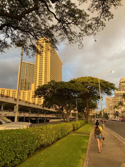 202201　ホノルル旅行記　～アラモアナホテル編～