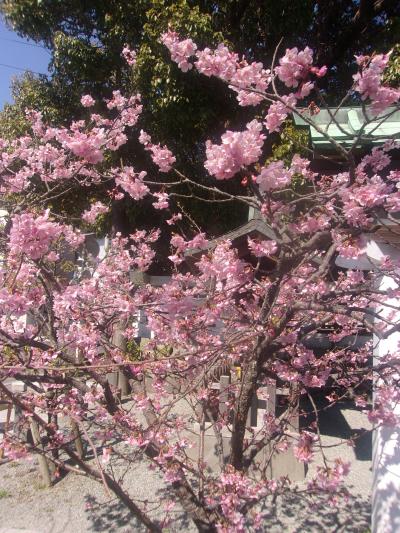 久しぶりの鎌倉横浜