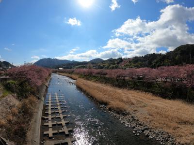 2022年2月　レンタカーで東伊豆周遊