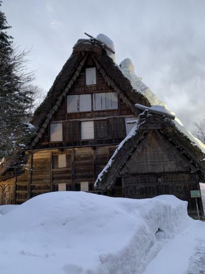 バスツアーで行く白川郷と飛騨の高山