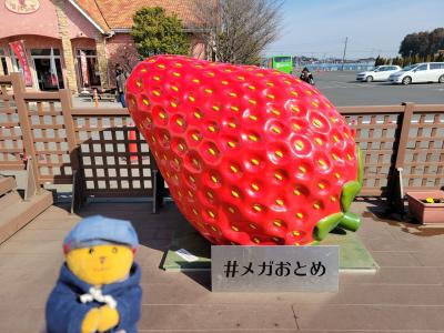 2203お散歩①　青春18きっぷで日帰り旅第1弾その①～いちごの里のスカイベリー狩り～