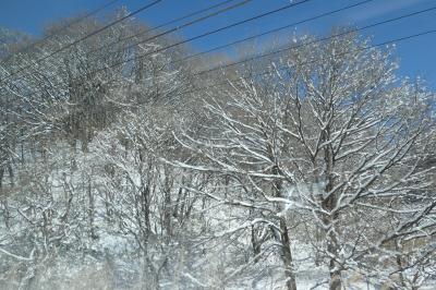 信州松本　優雅な冬旅♪　Vol.5 ☆特急あずさ　東京から松本へ美しい白銀世界♪