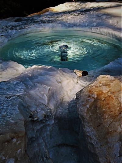 水戸-9　偕楽園-7　吐玉泉・好文亭表門‐陰の空間　☆孟宗竹林・杉林　南門‐護国神社