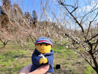 2203お散歩①　青春18きっぷで日帰り旅第1弾その②～まずは偕楽園で梅を愛でよう♪～