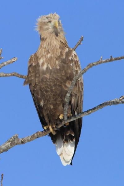 1泊2日、冬の北海道745km弾丸ツアー!(2日目)