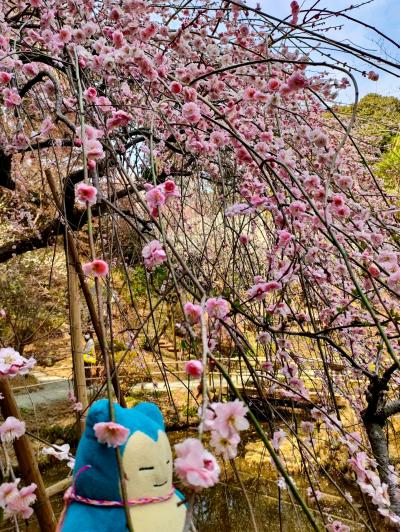 プチプチ旅　今が見頃の梅を訪ねて京王百草園まで