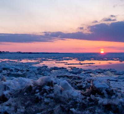 やっとこさの根室03: 寒いからこそ美しい。楽しい♪ 流氷の海に染まるピンクの夕焼けと早朝野鳥撮影