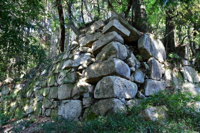 滋賀県：観音寺城、安土城、坂本城、膳所城、矢倉城（その1）