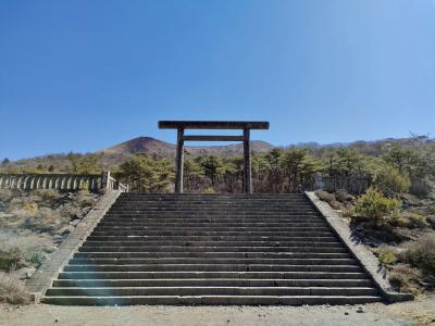 行先板　都城行　別府経由 行先板都城行別府経由