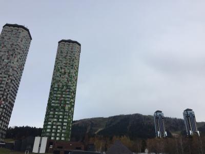 Gotoを活かして北海道へ!2泊3日の旅*1日目*