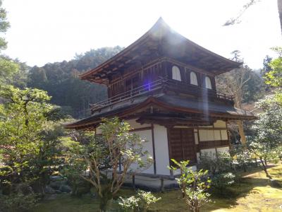 冬の銀閣寺と北野天満宮の梅苑