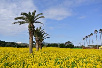 春の渥美半島　菜の花ガーデンと絶景ホテルへ