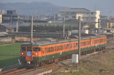 帰ってきた！！115系せとうち国鉄型の軌跡