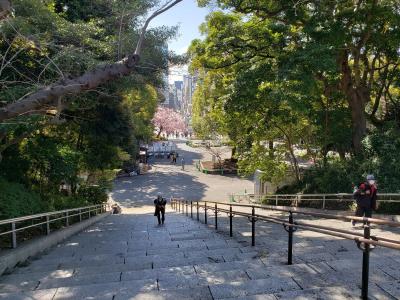 春の上野公園