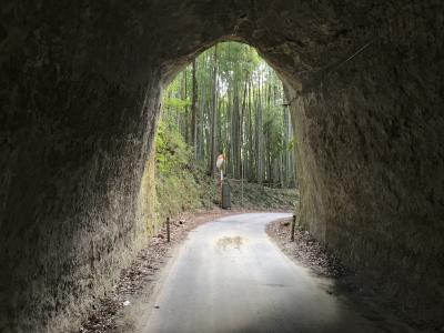 川廻しと素掘りトンネルを歩く