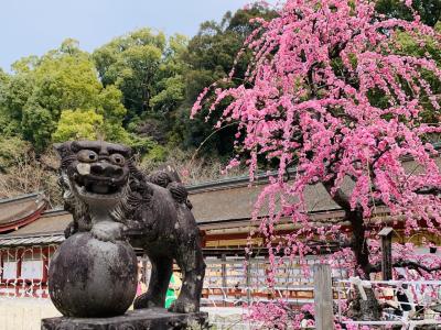 福岡・佐賀・長崎＊一人旅②大濠公園・福岡城・大宰府天満宮（２日目）