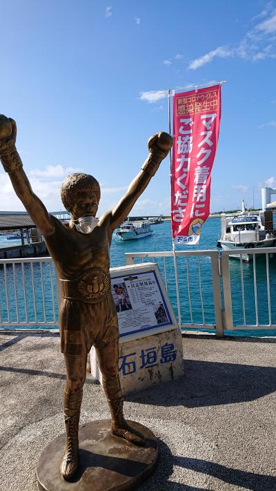 マンタに逢えなくても　オオテンジクザメには逢えた・・(黒島編)