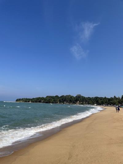 10年ぶりのArugamBay!