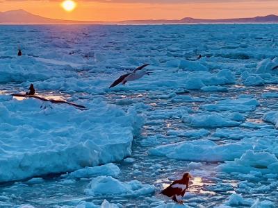 春なのに流氷ですか？*5　日の出前に流氷にたどり着く（ゴジラ岩観光早朝便）