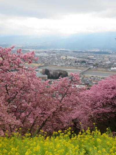 早春の伊豆へ　　Part３ 　アンダリゾート伊豆高原：後編（夜食・お風呂・朝食）+まつだ桜まつり