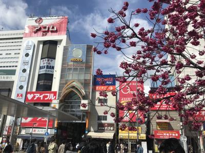 天気いい今日は西荻窪から中央線・総武線街歩きしましょ編